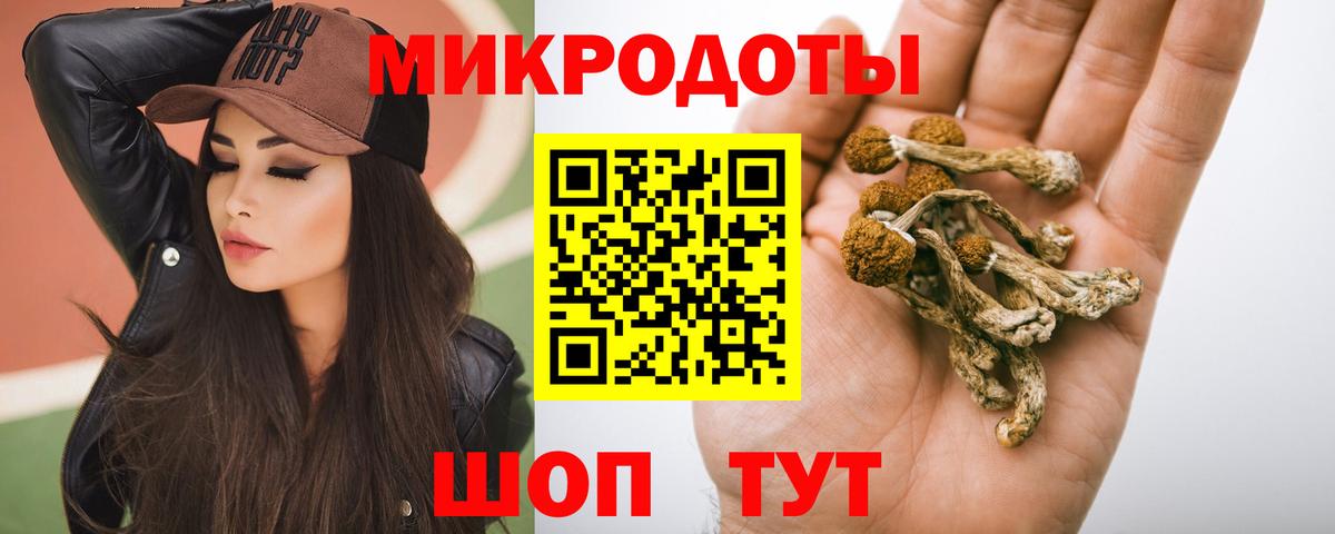 Псилоцибиновые грибы GOLDEN TEACHER Миллерово